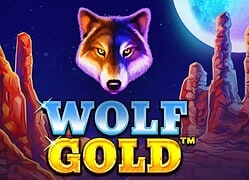 Wolf G Chumba Casino Game