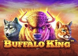 Buffalo King Chumba Casino Slot