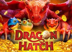 Dragon Hatch Chumba Casino Game