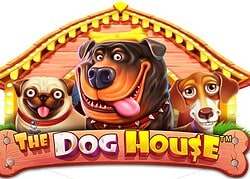 Dog House Chumba Casino Game